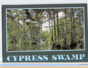 B-163389 Cypress Swamp Shreveport Louisiana USA