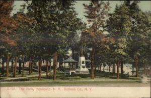 Monticello NY Tha Park c1910 Postcard