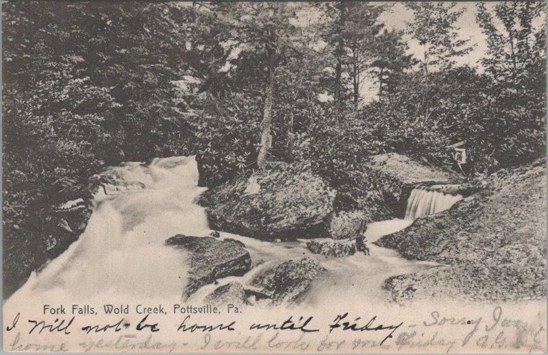 Postcard Fork Falls Wold Creek Pottsville PA 1907