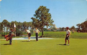 Harder Hall Golf Course - Sebring, Florida FL Postcard