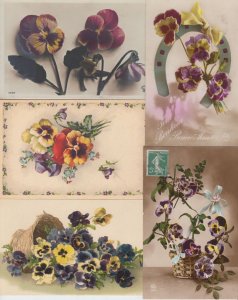 ANEMONE FLOWERS FLEURS 195 Postcards Mostly Pre-1940 (L4148)