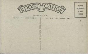 Vinegar Valentine Poem Mutoscope Postcard CHISELER - MAN TELEPHONE