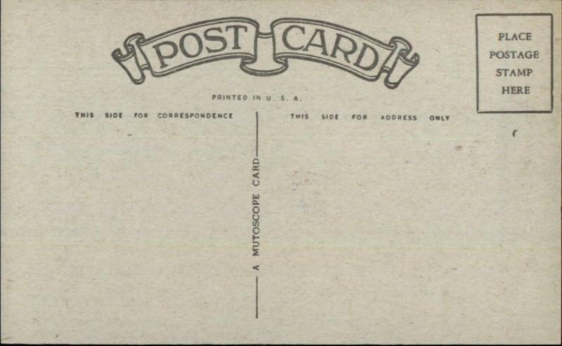 Vinegar Valentine Poem Mutoscope Postcard CHISELER - MAN TELEPHONE