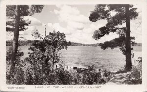 Lake Of The Woods Kenora Ontario ON Unused Lakewood Studio RPC Postcard H23