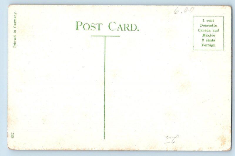 Postcard Steamer Tashmoo Leaving Dock Passenger Flags Scene c1910's Antique