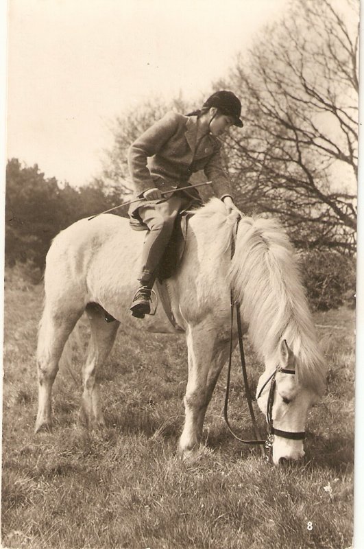 Horsewoman. white horse Old vintage English postcard