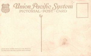 Vintage Postcard 1910's Multnomah Falls From Union Pacific System Trains Oregon