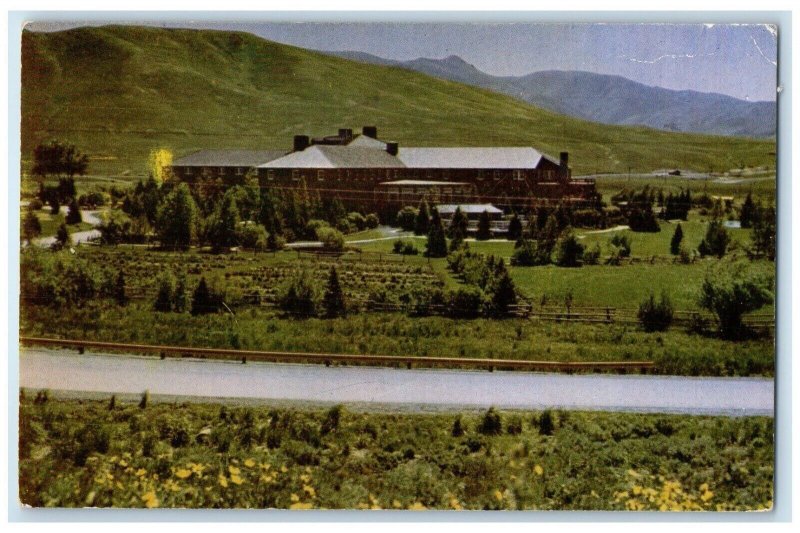 1960 Sun Valley Lodge Wild Flower Season Salt Lake City Utah Kolor Card Postcard