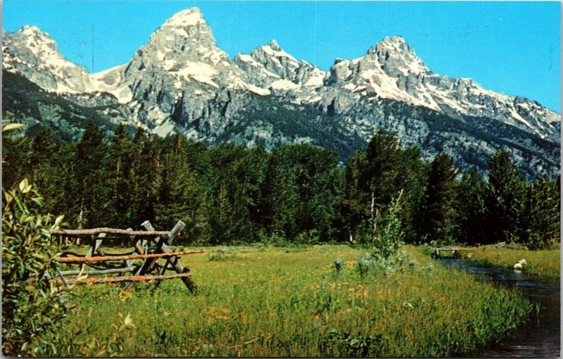 Grand Teton National Park Wyoming WY Mountain Peak Postcard UNP VTG Koppel 