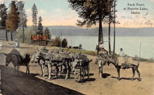 J40/ Payette Lake Idaho Postcard c1910 Pack Train Mules Cowboys  200