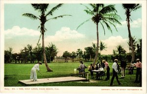 PC GOLF, THE GOLD LINKS, PALM BEACH, FL, Vintage Postcard (b45376)