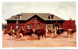 Colorado Colorado Springs Union Printers Home One Of The Finest Dairy Herds I...