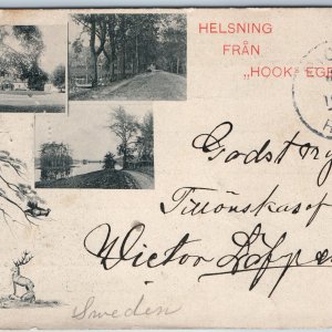 c1900s UDB Hok Jonkoping, Sweden Hooks Estate Egendom Herrgard Petzold Card A201