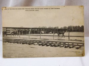 Circa 1910-20 WW I Horse Feeding Racks At camp Sherman, Chillocothe, Ohio P27