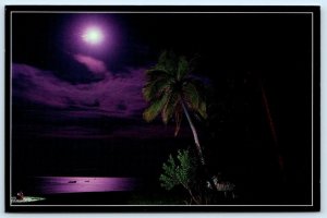 TAVARUA ISLAND, FIJI ~ Night View FULL MOON Keith Karasic 1996 - 4x6 Postcard