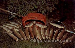 A Fishermans Dream Fishing 1972 close to perfect corners, light yellowing on ...