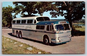 Transportation~Greyhound Scenicruiser Bus~New York Express~1950s Postcard