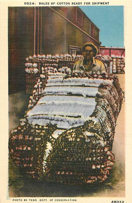Linen of Bales of Cotton Ready for Shipment