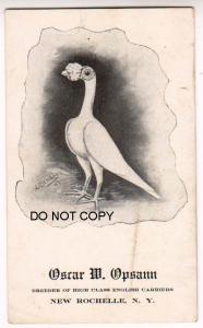 Oscar M. Opsann, New Rochelle NY