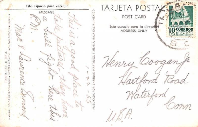 Caliente Race Track Tijuana Mexico Tarjeta Postal 1955 
