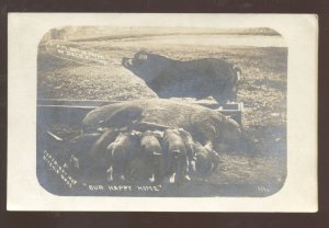 RPPC RITCHIE BROS. REAL PHOTO POSTCARD PIG FARMING ROBINSON ILLINOIS 1909
