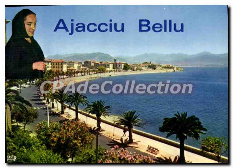 Modern Postcard Ajaccio Boulevard Lantivy With His Palms