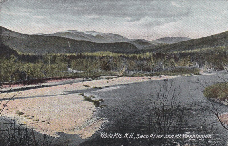 WHITE MTS., New Hampshire, 1900-1910s; Saco River And Mt. Washington