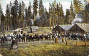 Logging Camp Horse Teams Idaho 1909 postcard