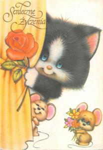B98557 cat chat  serdeczne zyczenia best wishes poland  animals animaux