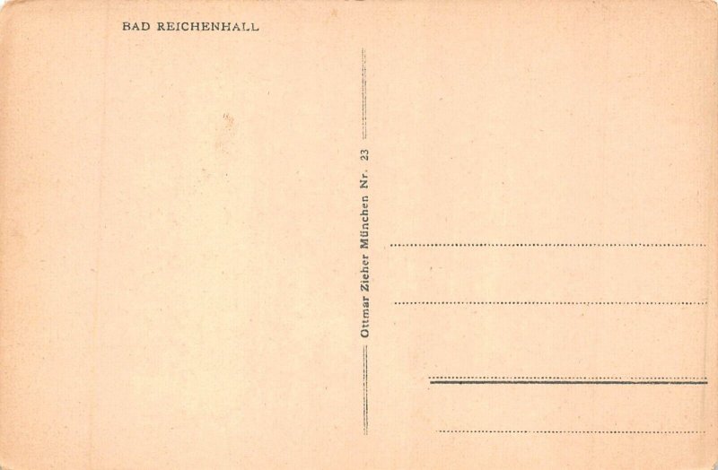 L169 Germany Bad Reichenhall Panoramic View Mountains vintage postcard