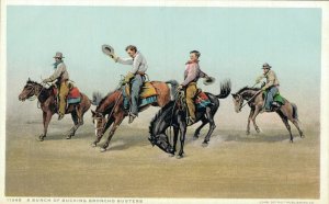 USA Cowboys A Bunch of Bucking Broncho Busters Vintage Postcard 07.22