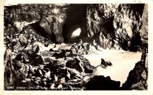 RPPC - The Interior of the Sea Lion Caves on the Oregon Coast - Hwy 101 - 1948