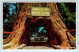 LEGGETT, CA ~ Redwood Highway CHANDELIER DRIVE THRU TREE 1981 -  4x6 Postcard
