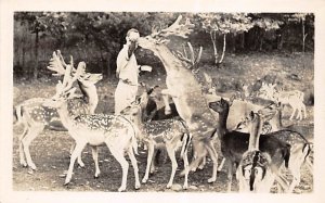 Catskill Game Farm, Inc Catskill, New York, USA Deer Unused real photo