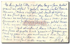 Old Postcard Cat Cats Kitten