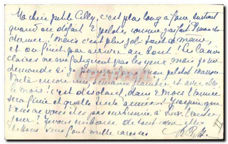 Old Postcard Cat Cats Kitten