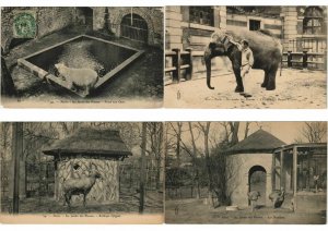 ZOO JARDIN DE PLANTES ANIMAUX 200 CPA pre-1930 (L4066)