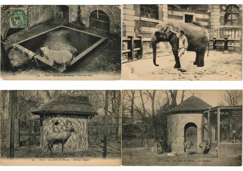 ZOO JARDIN DE PLANTES ANIMAUX 200 CPA pre-1930 (L4066)