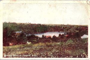 Postcard PANORAMIC SCENE Liberty New York NY AJ3569