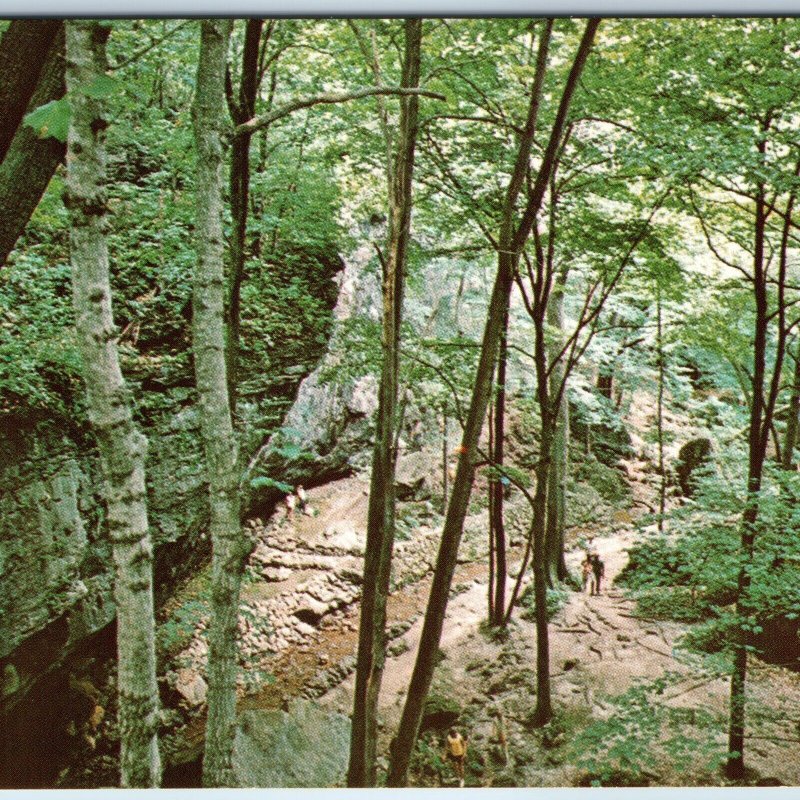 c1970s Maquoketa, IA Caves State Park Hiking Trail Nature Scene Chrome PC A236