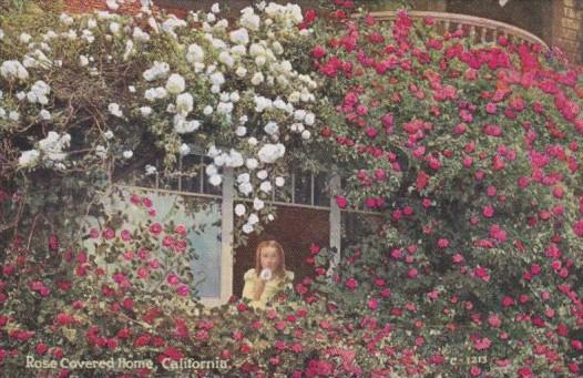 Flowers Rose Covered Home In California