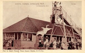 LP10 Diving Horses Syracuse Fair New York Postcard 