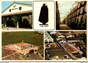 Spain Jerez Sandeman Vineyards & Bodegas The Don Multi View