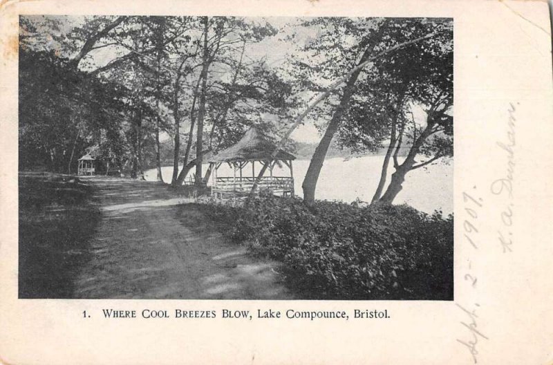 Bristol Connecticut Lake Compounce Gazebo Scenic View Vintage Postcard AA28075