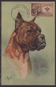 Boxer,Rivst Postcard 
