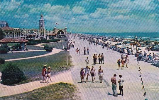 Ocean Front Park Looking Toward Band Shell Daytona Beach Florida 1955