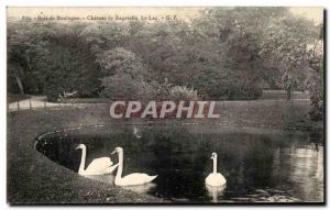 Old Postcard Bois de Boulogne Chateau de Bagatelle Swan Lake