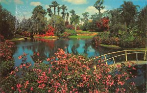 Beautiful Gardens  Cypress Gardens FL