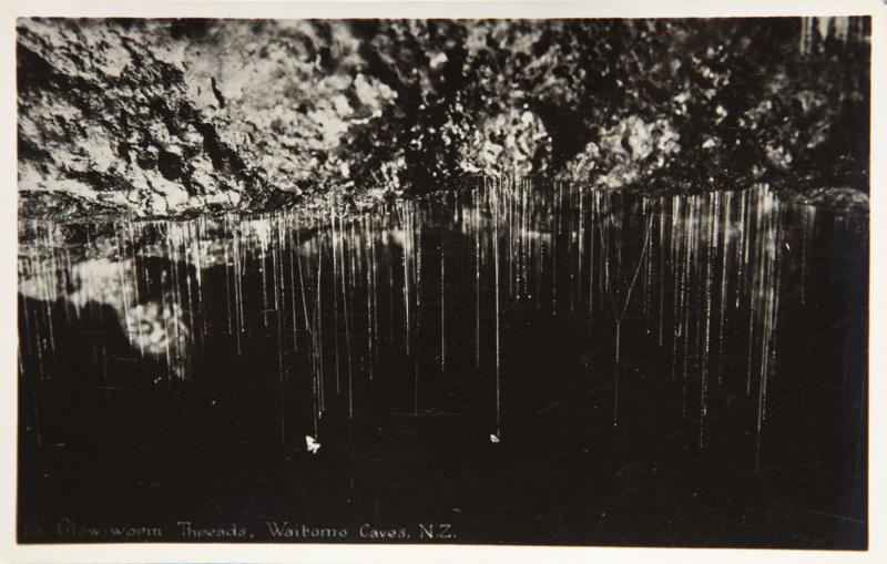 Glow-worm Threads Waitoma Caves New Zealand NZ Unused Real Photo Postcard D32