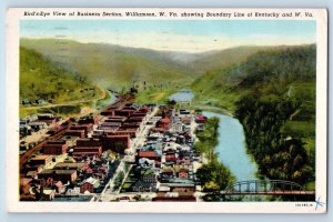 West Virginia Postcard Birds Eye View Business Section Williamson Boundary c1961